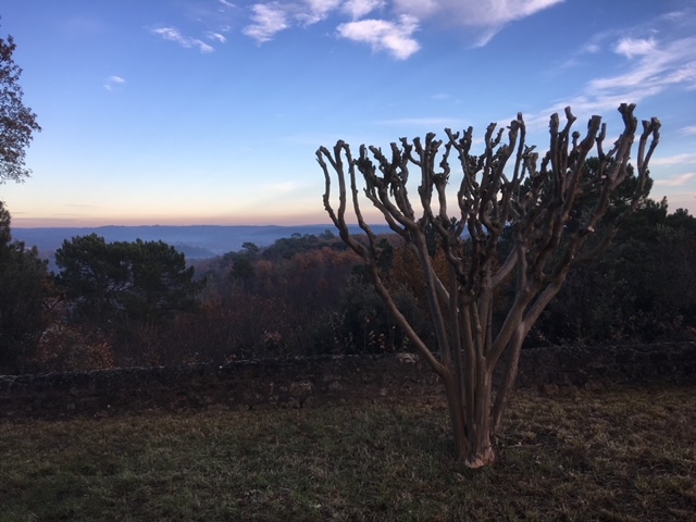 VUE PANORAMIQUE DEPUIS LA TERRASSE